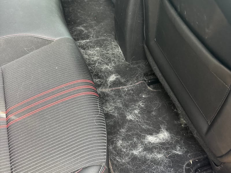 Interior deep clean — heavily soiled seats and carpets covered in pet hair before treatment